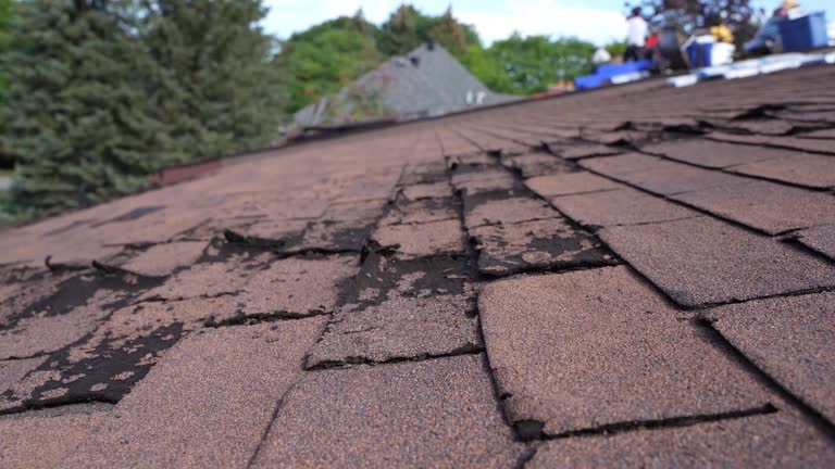 Asphalt Shingles Roofing in Waialua, HI